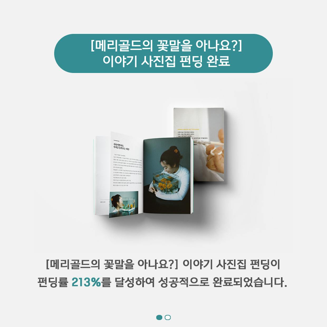 메리골드의 꽃말을 아나요? | 텀블벅 - 크리에이터를 위한 크라우드펀딩